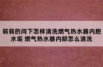 弱弱的问下怎样清洗燃气热水器内胆水垢 燃气热水器内部怎么清洗